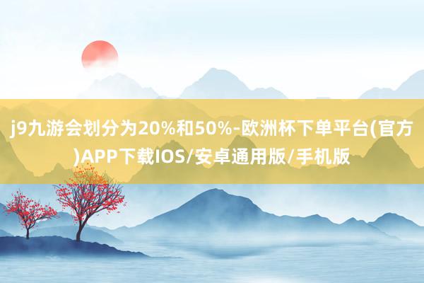 j9九游会划分为20%和50%-欧洲杯下单平台(官方)APP下载IOS/安卓通用版/手机版