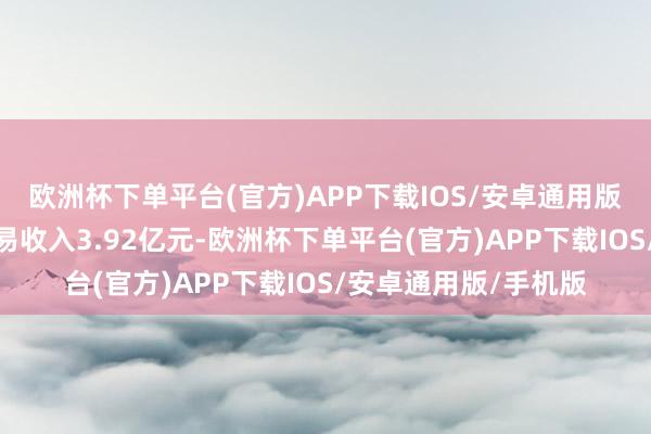 欧洲杯下单平台(官方)APP下载IOS/安卓通用版/手机版公司已毕交易收入3.92亿元-欧洲杯下单平台(官方)APP下载IOS/安卓通用版/手机版