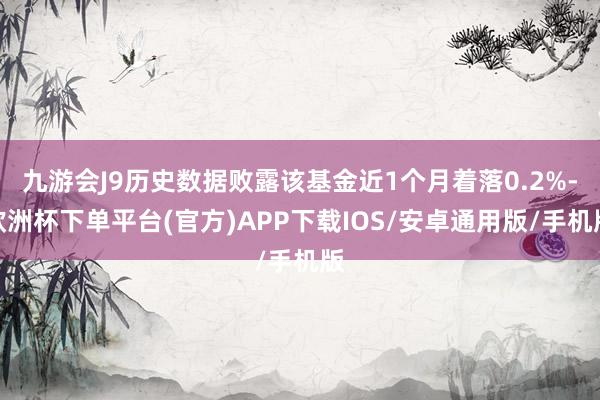 九游会J9历史数据败露该基金近1个月着落0.2%-欧洲杯下单平台(官方)APP下载IOS/安卓通用版/手机版