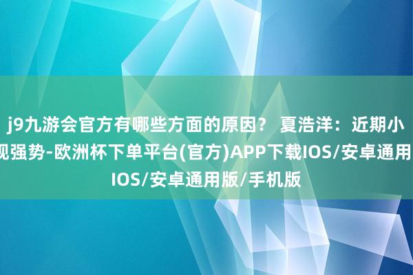 j9九游会官方有哪些方面的原因？ 夏浩洋：近期小微盘股表现强势-欧洲杯下单平台(官方)APP下载IOS/安卓通用版/手机版