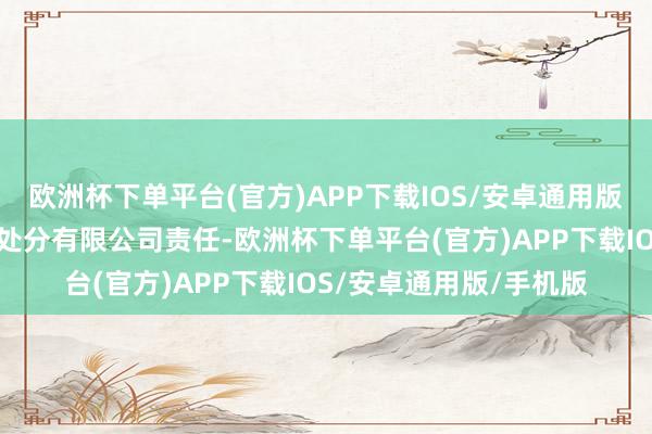 欧洲杯下单平台(官方)APP下载IOS/安卓通用版/手机版并在华商基金处分有限公司责任-欧洲杯下单平台(官方)APP下载IOS/安卓通用版/手机版