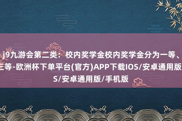 j9九游会第二类：校内奖学金校内奖学金分为一等、二等、三等-欧洲杯下单平台(官方)APP下载IOS/安卓通用版/手机版