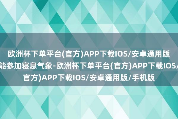 欧洲杯下单平台(官方)APP下载IOS/安卓通用版/手机版东说念主就能参加寝息气象-欧洲杯下单平台(官方)APP下载IOS/安卓通用版/手机版