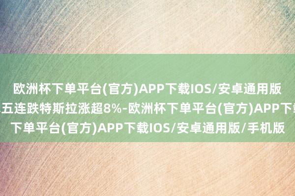 欧洲杯下单平台(官方)APP下载IOS/安卓通用版/手机版纳指与标普闭幕五连跌特斯拉涨超8%-欧洲杯下单平台(官方)APP下载IOS/安卓通用版/手机版