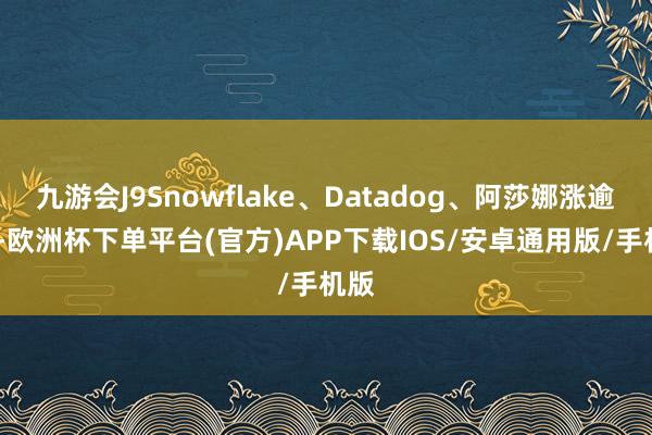 九游会J9Snowflake、Datadog、阿莎娜涨逾2%-欧洲杯下单平台(官方)APP下载IOS/安卓通用版/手机版