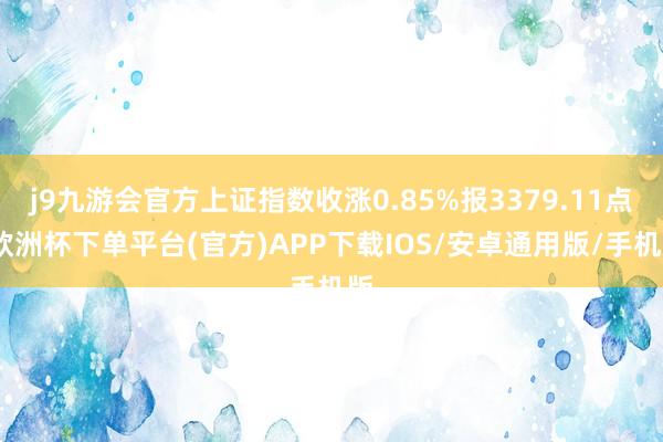 j9九游会官方上证指数收涨0.85%报3379.11点-欧洲杯下单平台(官方)APP下载IOS/安卓通用版/手机版