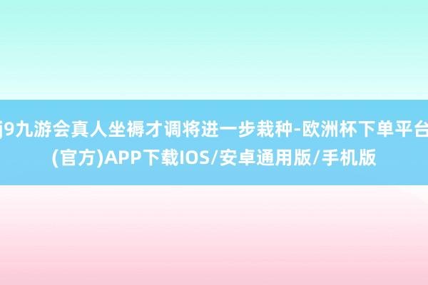 j9九游会真人坐褥才调将进一步栽种-欧洲杯下单平台(官方)APP下载IOS/安卓通用版/手机版