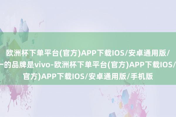欧洲杯下单平台(官方)APP下载IOS/安卓通用版/手机版国内排行第一的品牌是vivo-欧洲杯下单平台(官方)APP下载IOS/安卓通用版/手机版